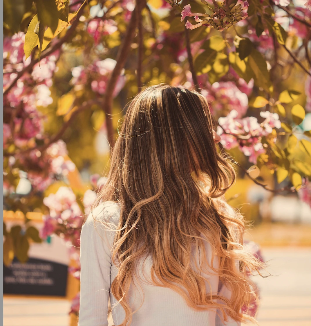 Person with long, wavy, light brown hair standing outdoors, facing away, surrounded by pink flowering tree branches in sunlight.